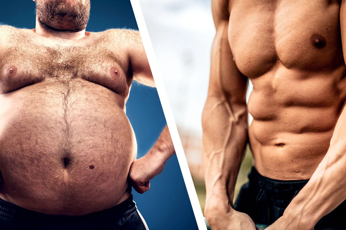 Body composition and fitness comparison image